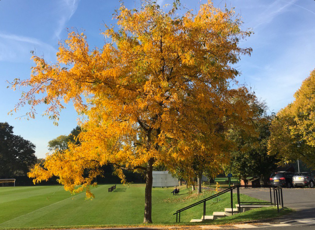 screen-shot-2016-11-02-at-09-02-09